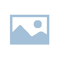 2017年8月31日，西藏电视台采访飞鹿广告